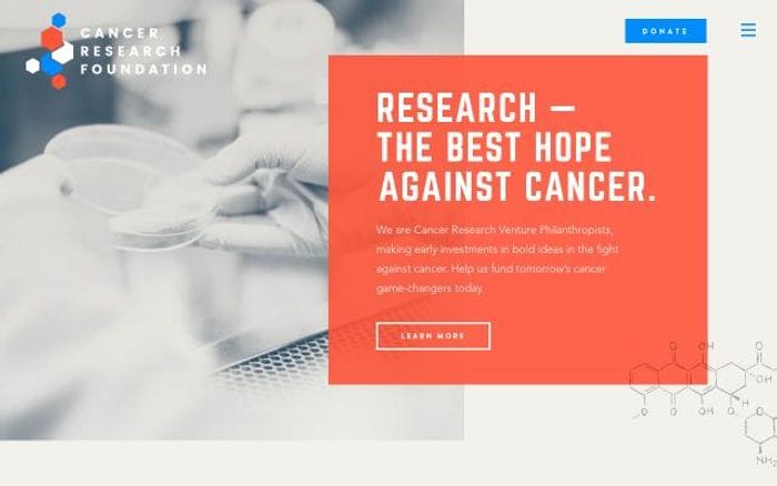 Cancerresearchfdn website preview
