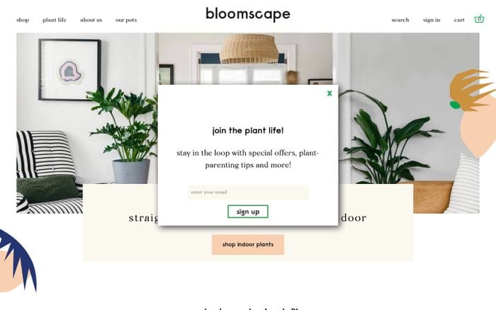 Bloomscape | Living room ready plants delivered to your door website preview