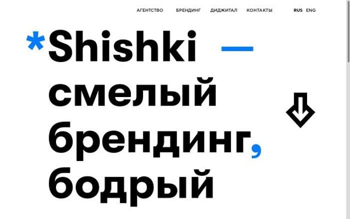 Shishki website preview