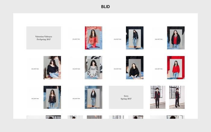 Work - BLID website preview