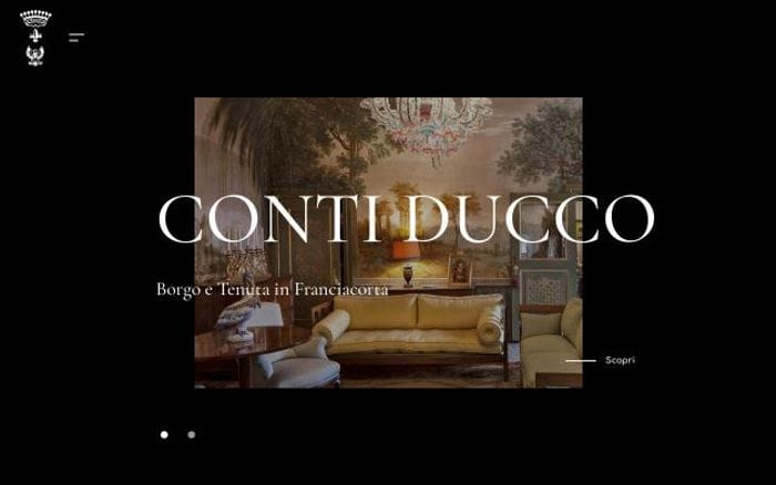 Contiducco website preview
