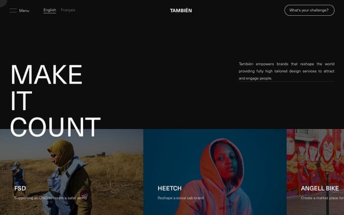 También website preview