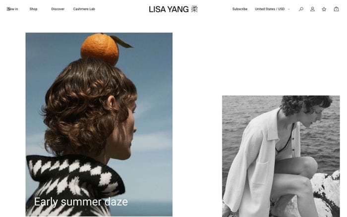 Lisa Yang website preview