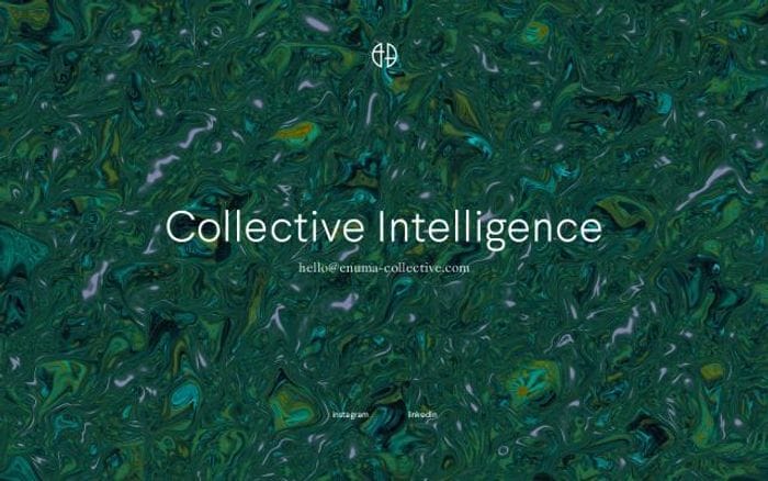 Enuma-collective website preview