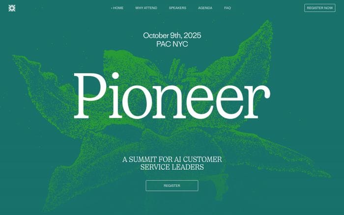 Pioneer by Fin website preview