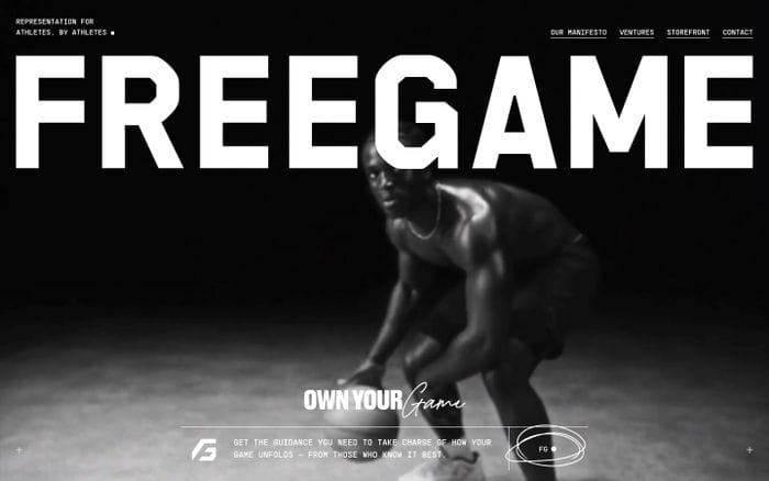 Freegame website preview