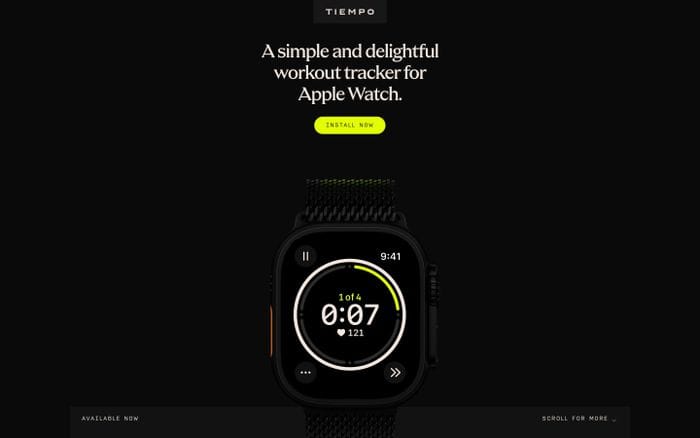 Tiempo website preview