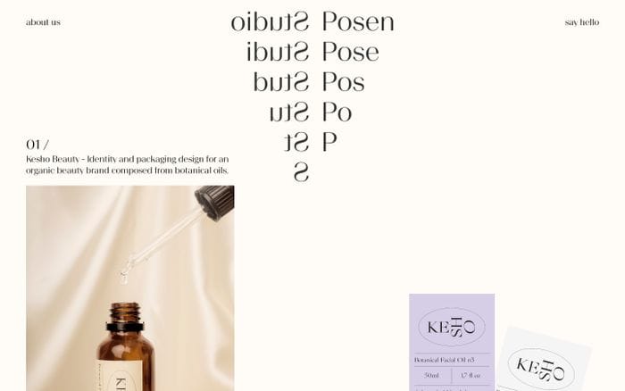 Studio Posen website preview