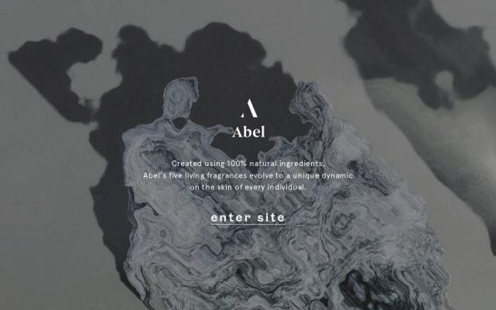 Abelodor website preview