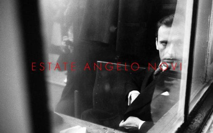 Angelonovi website preview