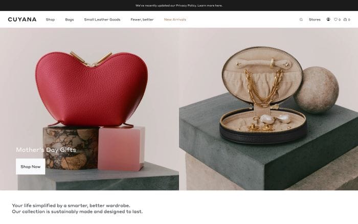 Cuyana website preview