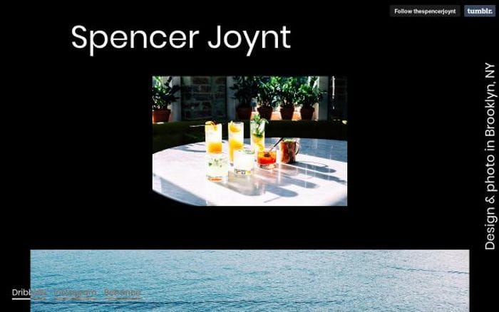 Thespencerjoynt website preview