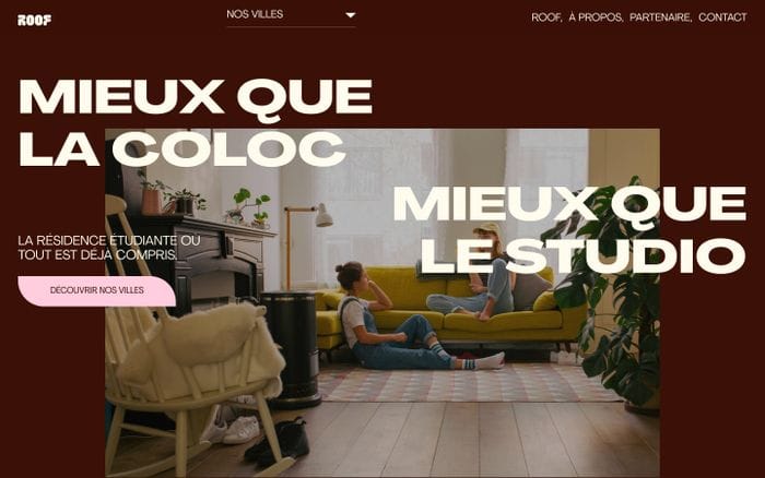 Roof website preview
