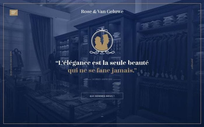 Rvg website preview