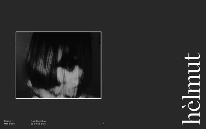 Helmut website preview