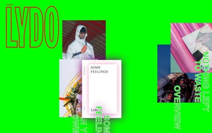 Lydo website preview