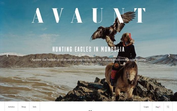 Avauntmagazine website preview