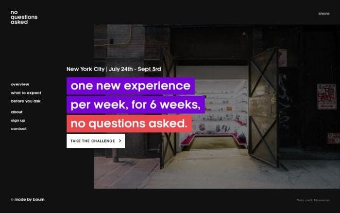 Noquestionsasked website preview