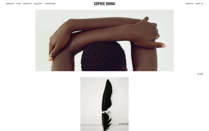 Sophie Buhai website preview