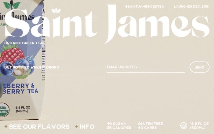 Saint James website preview