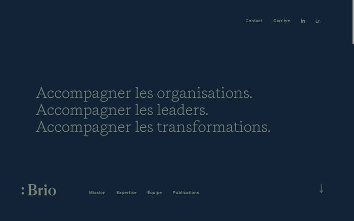 Brio Conseils website preview