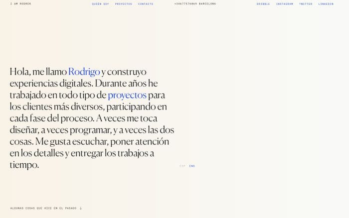 Rodrigo Núñez website preview