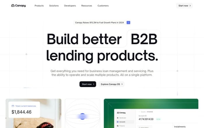 Canopy website preview