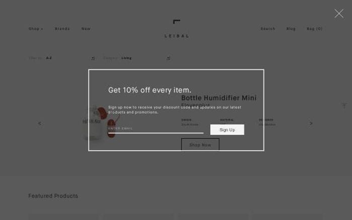 Store website preview