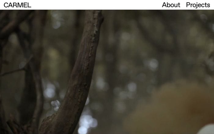 Carmel website preview