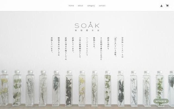 Base website preview