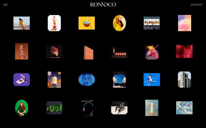 RoAndCo website preview