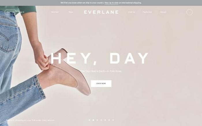 Everlane website preview