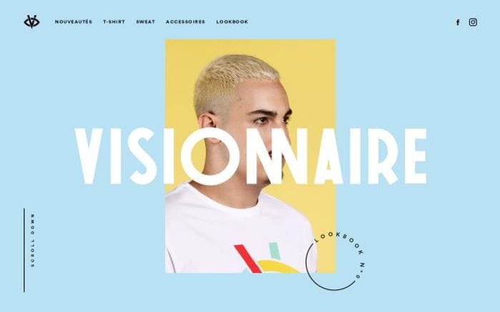 Visionnaire website preview