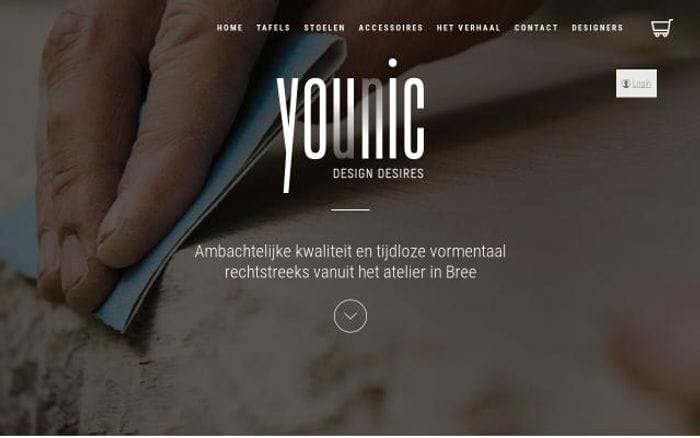 Younic website preview
