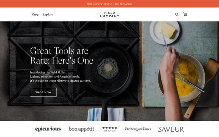 Fieldcompany website preview