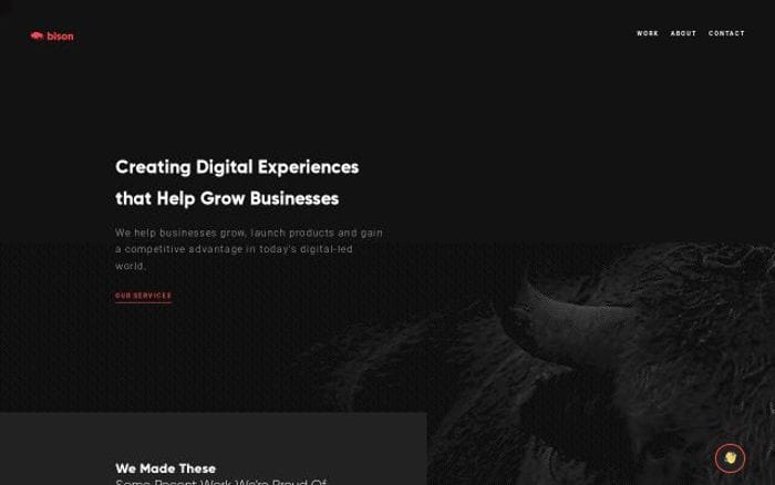 Bison website preview