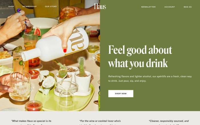 Haus website preview