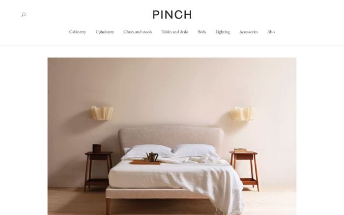 Pinch website preview