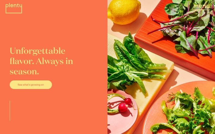  Plenty website preview