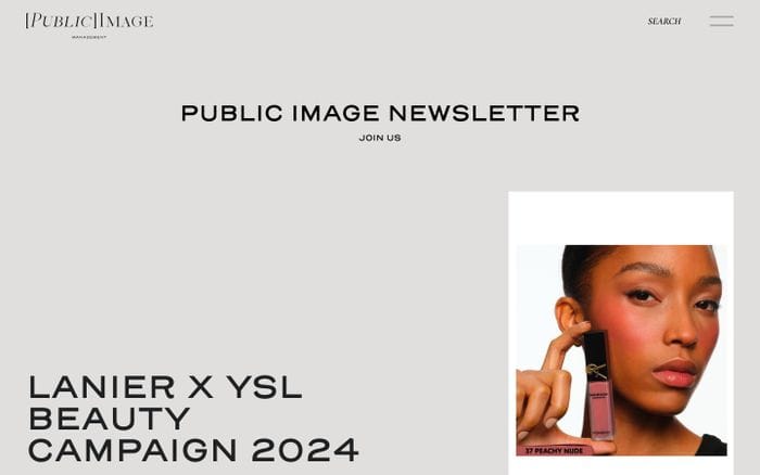 Public Image Management website preview