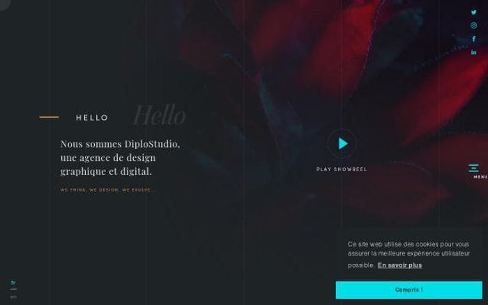 Diplo website preview