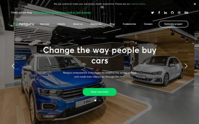 Netguru website preview