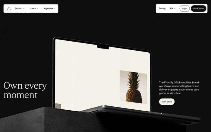 Frontify website preview