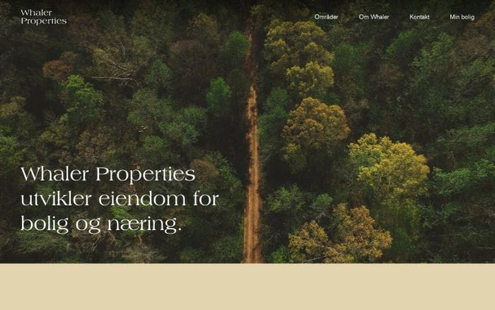Whaler Properties website preview