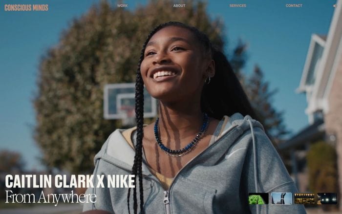 Conscious Minds website preview