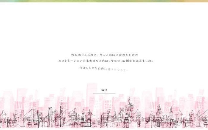 Estnation website preview
