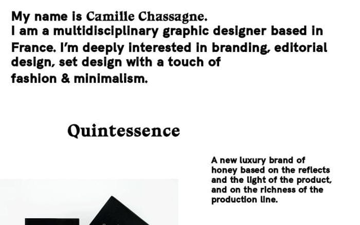 Camillechassagne website preview