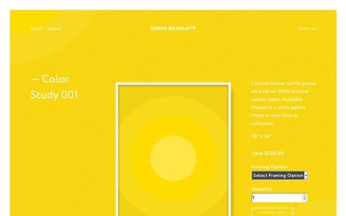 Derekbradley website preview
