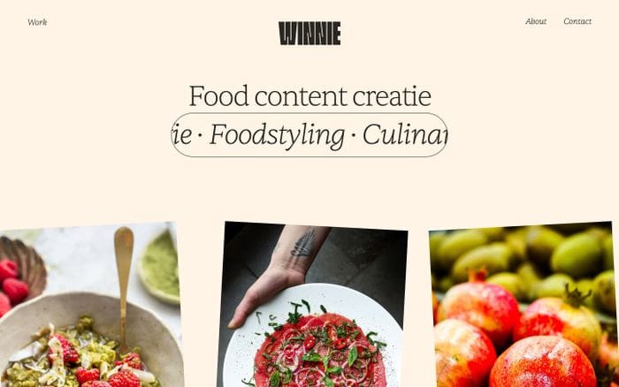 Winnie Verswijvel website preview