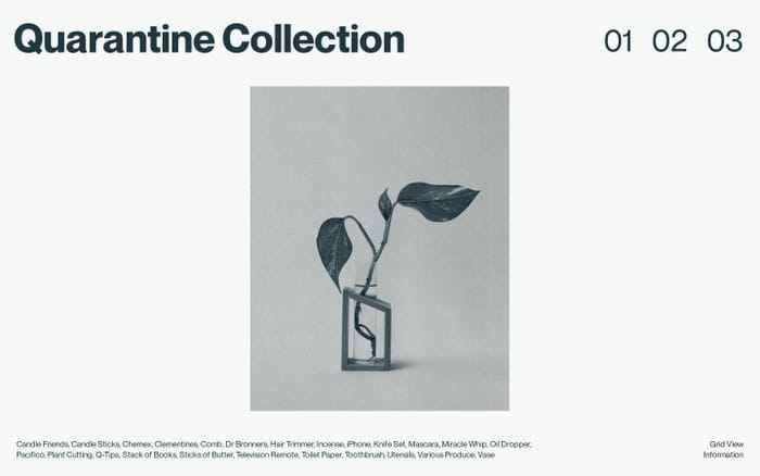 Quarantine Collection website preview